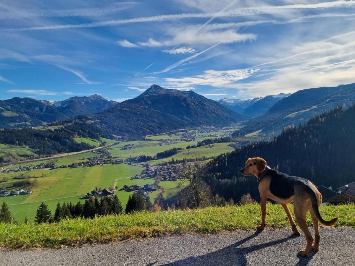 Dog-friendly In Holiday home Flachau